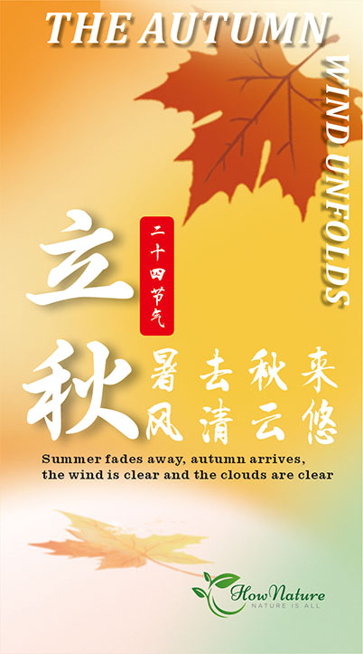 立秋已至，暑去秋来。hownature