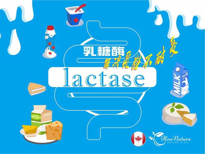 乳糖酶——你的乳糖不耐受解决大师,hownature