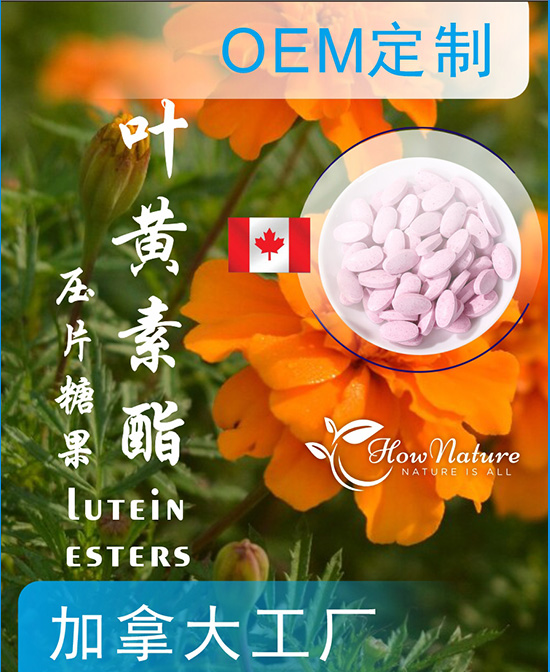 加拿大全天然hownature叶黄素酯压片糖果/片剂OEM代工