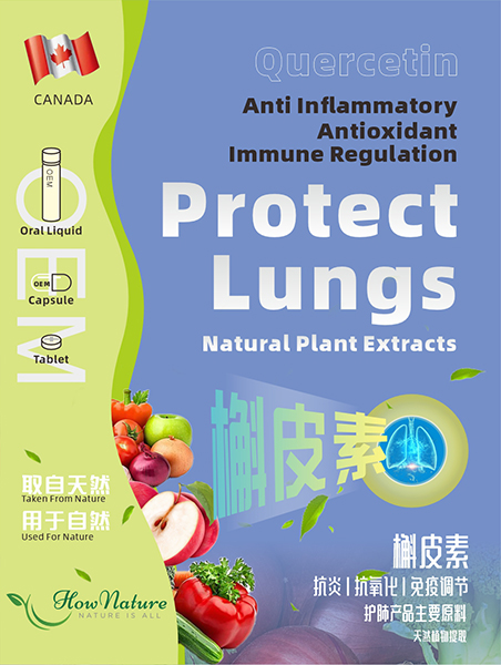 护肺产品主要原料——加拿大槲皮素（定制贴牌OEM）
