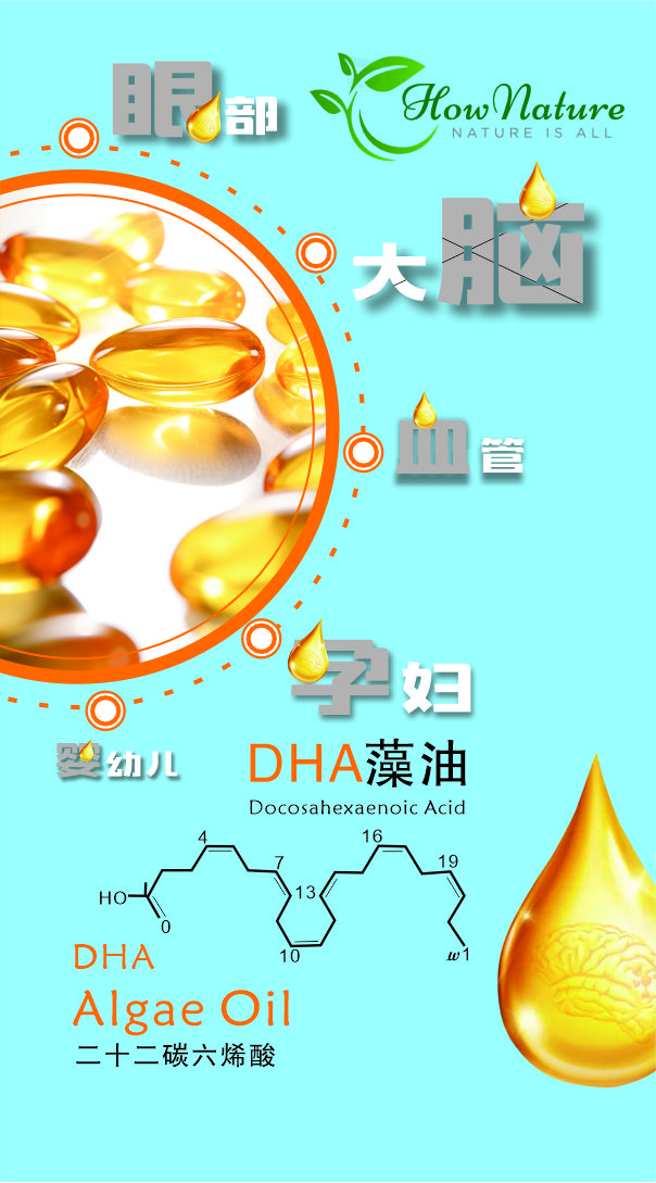 DHA藻油.jpg