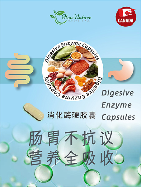 消化酶胶囊 拷贝 2.jpg