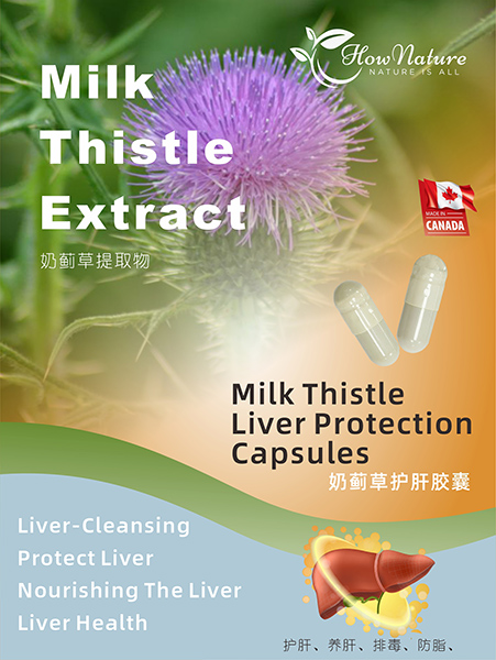 奶蓟飞护肝胶囊 拷贝.jpg