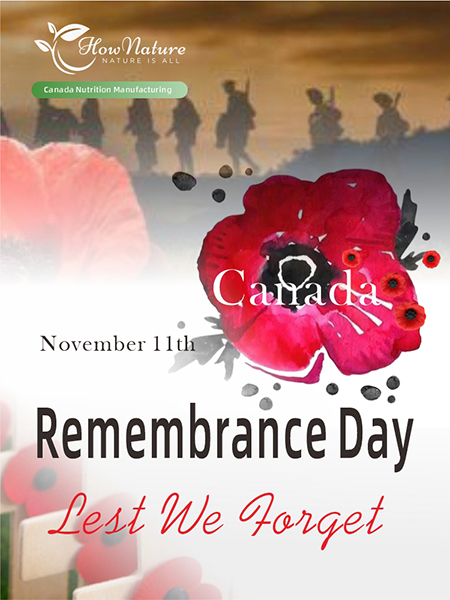 军人纪念日 拷贝.jpg