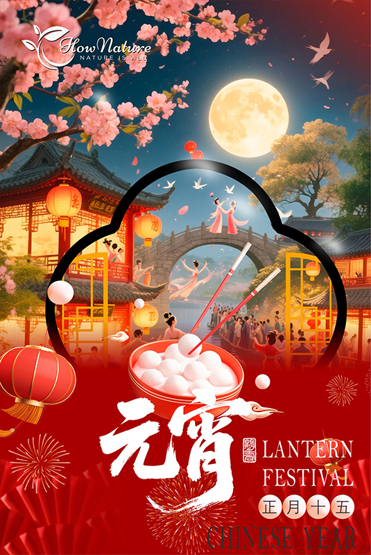 元宵2026 拷贝.jpg